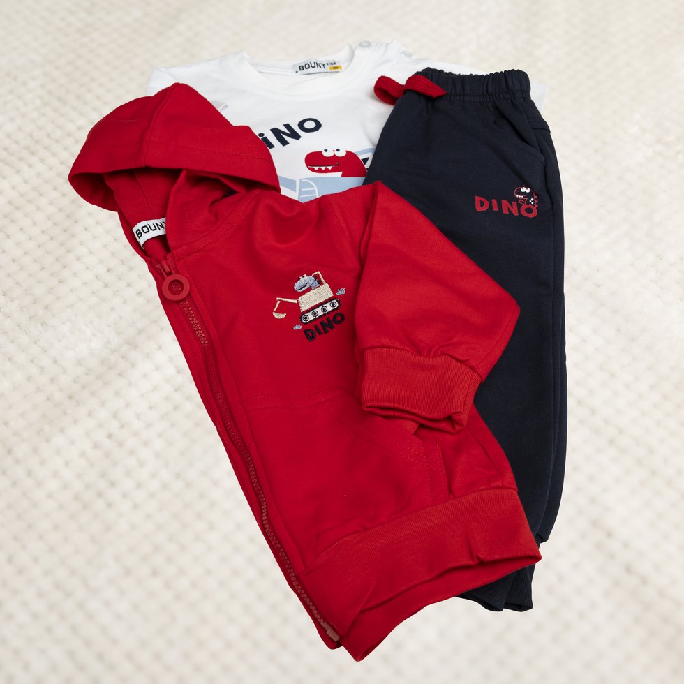 Set Dino Shirt, Hose und Hoodie Größen: 12 - 36 Monate